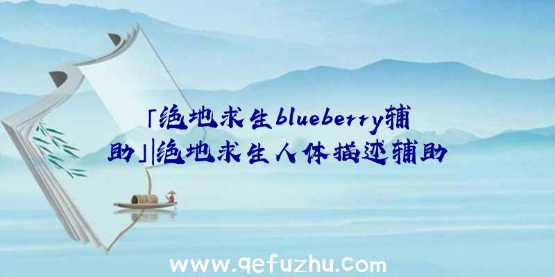 「绝地求生blueberry辅助」|绝地求生人体描述辅助